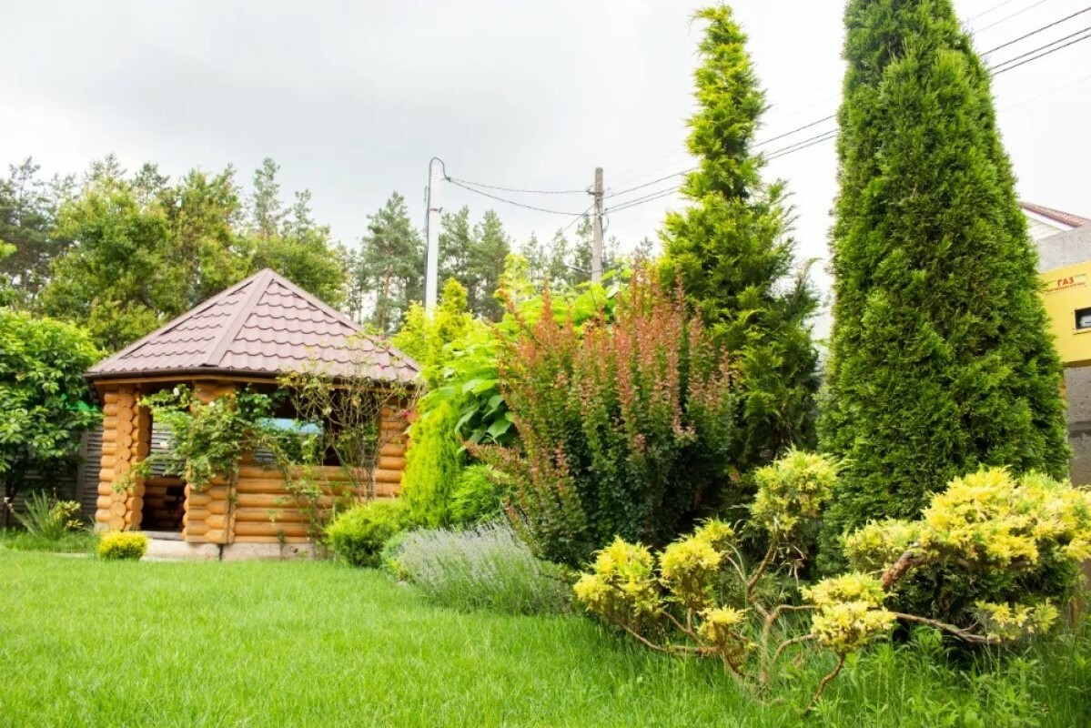 https://orsk.tgv-stroy.ru/storage/app/uploads/public/637/ef4/fb3/637ef4fb3605f391429275.png